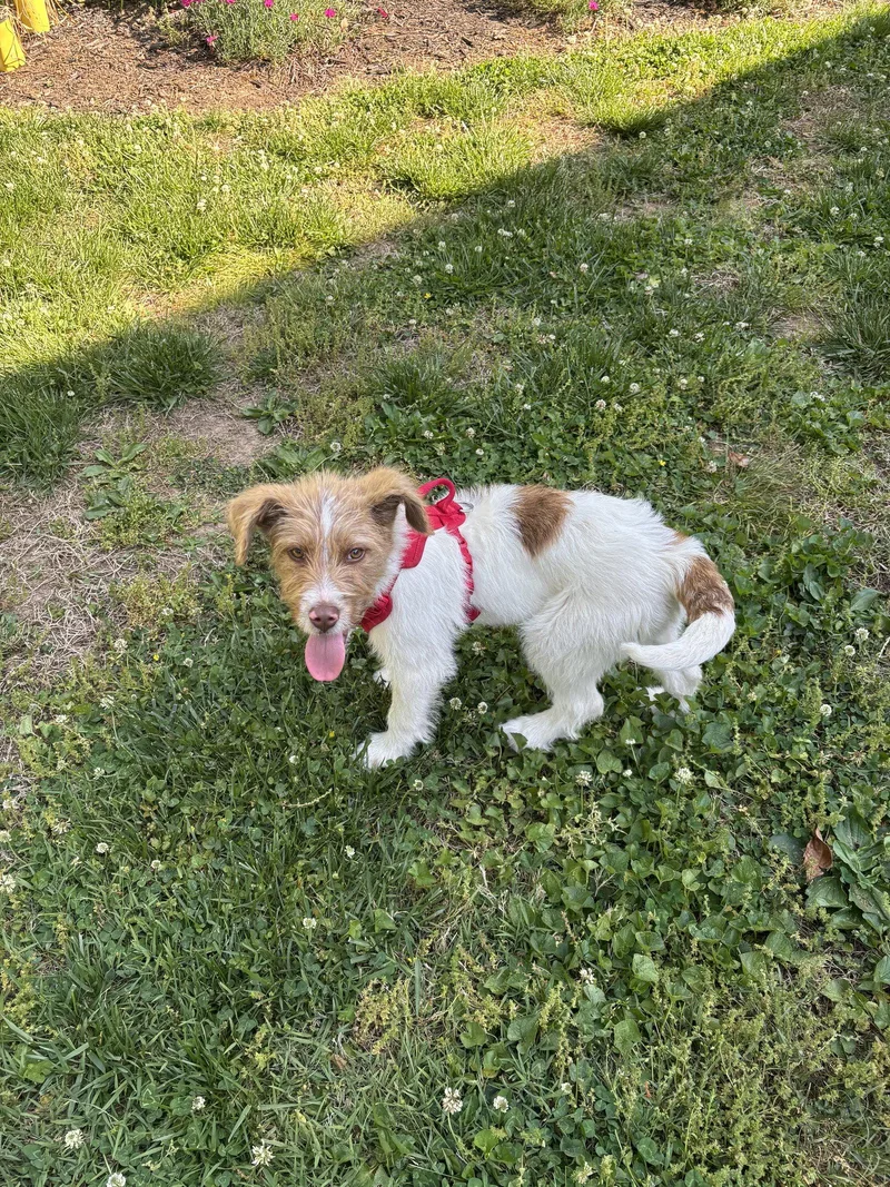 Ruby