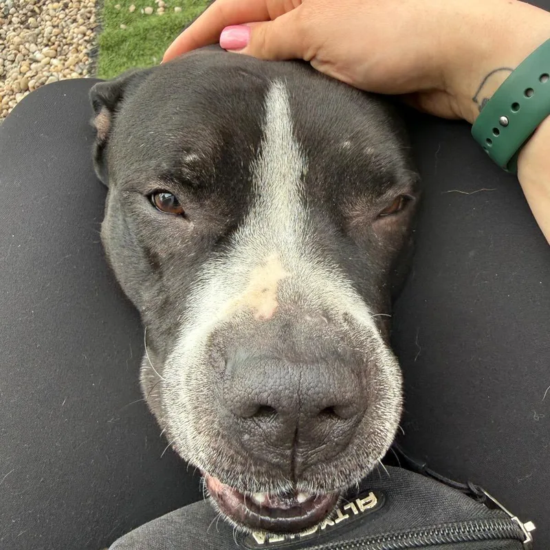 Cheeseboard thumbnail 3