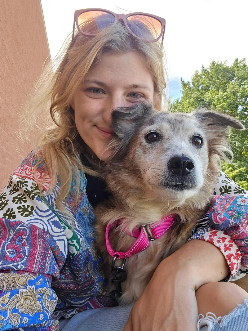 A senior medium-sized female Collie dog named Race Track for adoption in Winter, WI