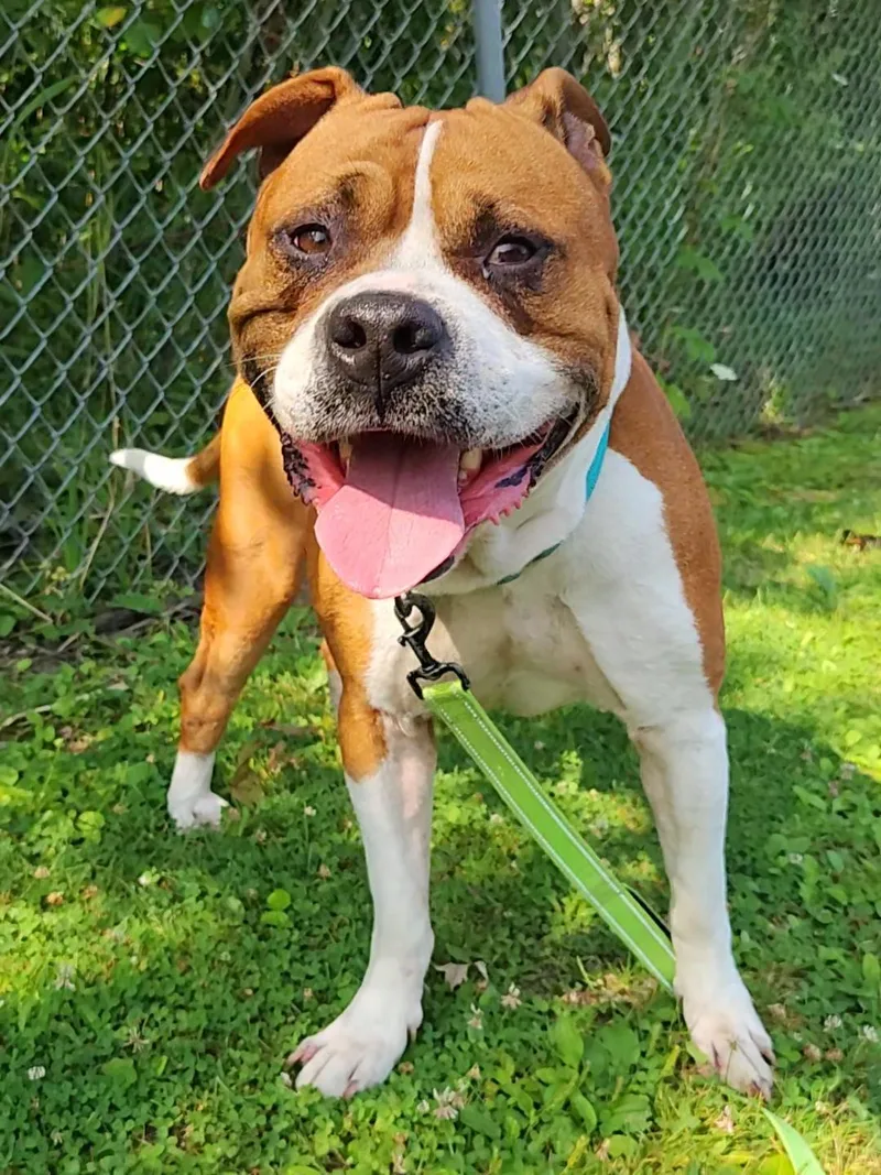 Denver thumbnail 2