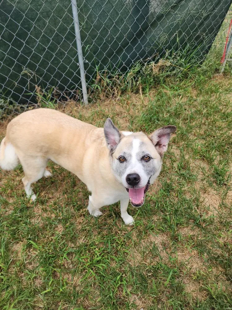 Pretty Ricky thumbnail 2