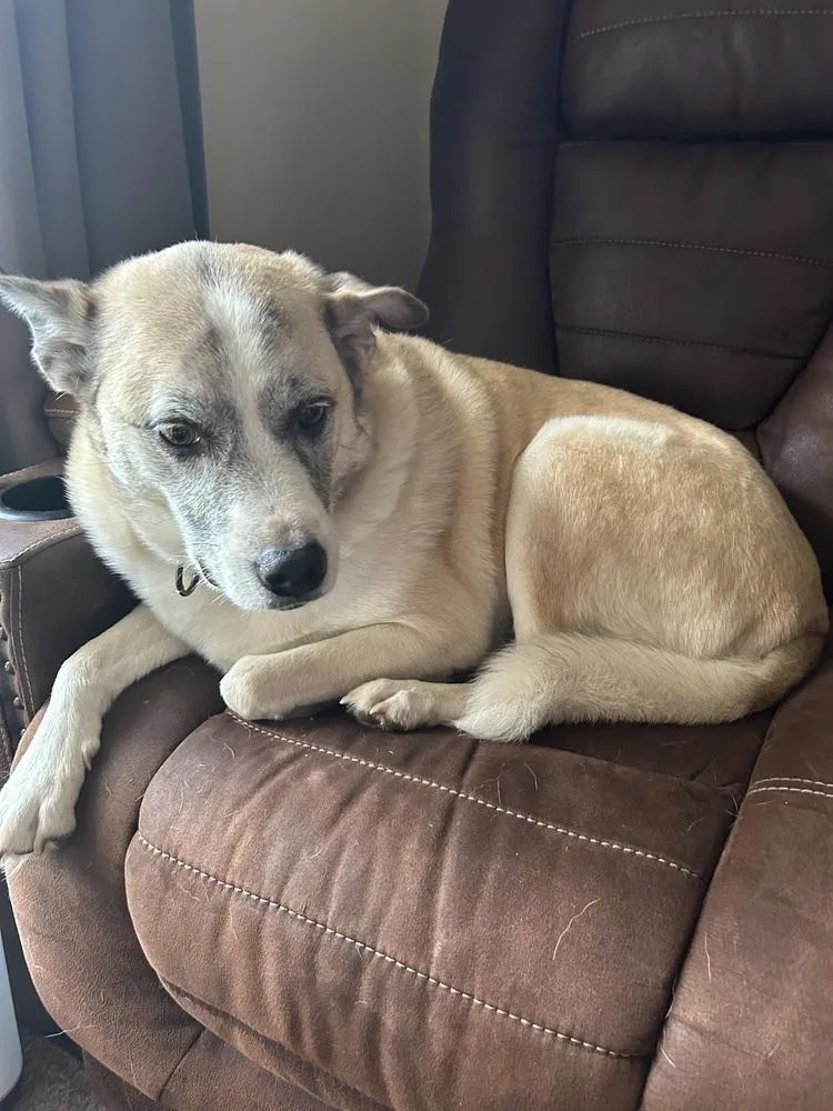 Pretty Ricky thumbnail 3