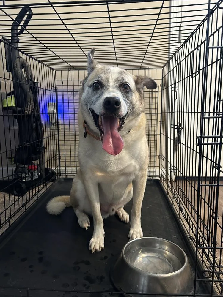 Pretty Ricky thumbnail 4