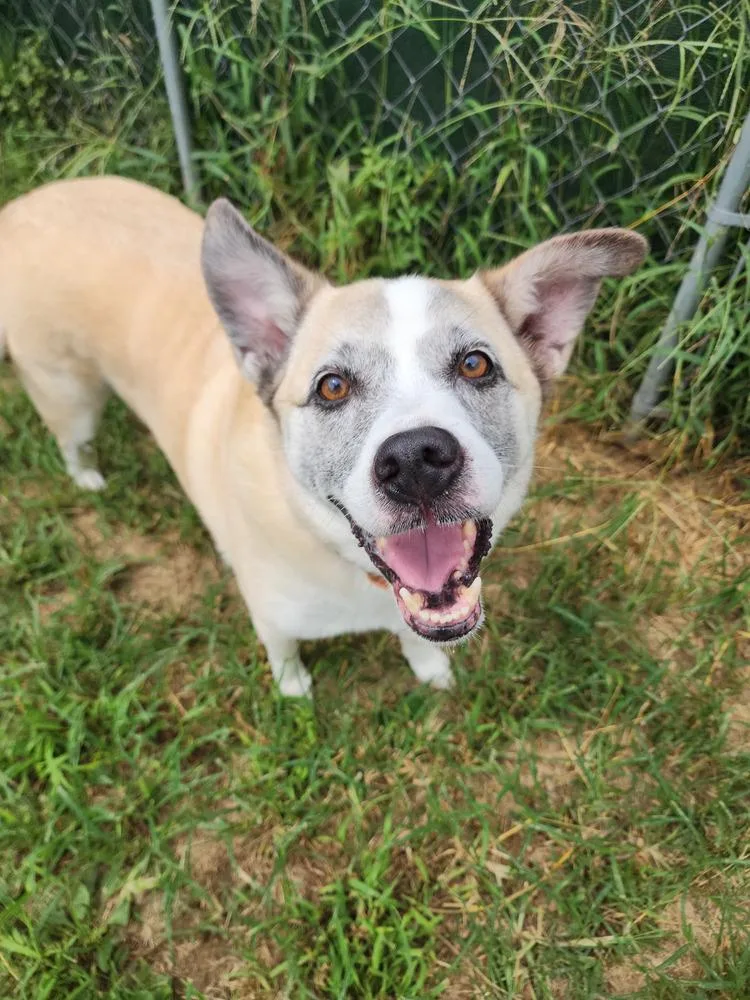 Pretty Ricky thumbnail 5