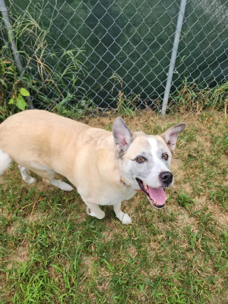 Pretty Ricky thumbnail 6