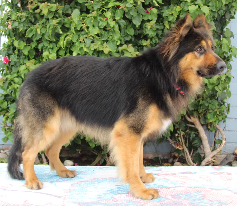 Montana Von Schrader thumbnail 4