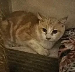 Don Julio thumbnail 2