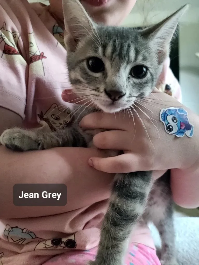 Jean Gray thumbnail 2