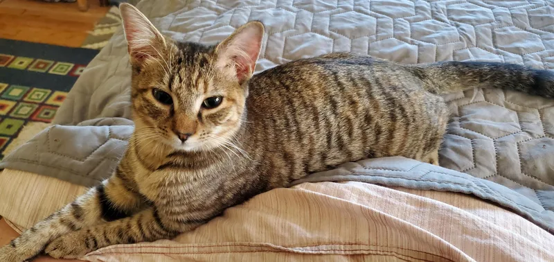 Tabitha & Angelica thumbnail 4