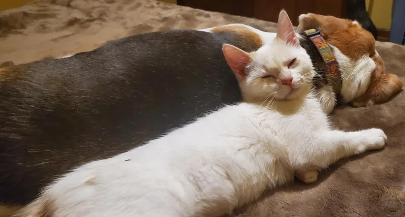 Tabitha & Angelica thumbnail 5