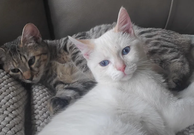 Tabitha & Angelica thumbnail 6