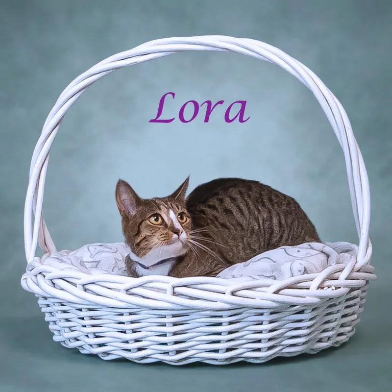 Lora C thumbnail 3