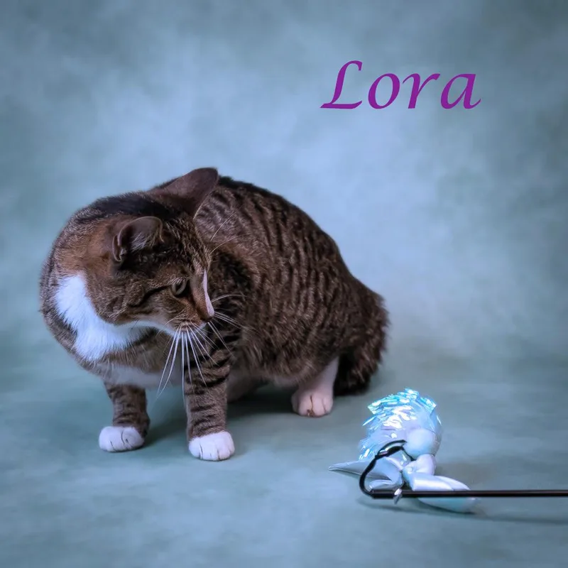 Lora C thumbnail 4