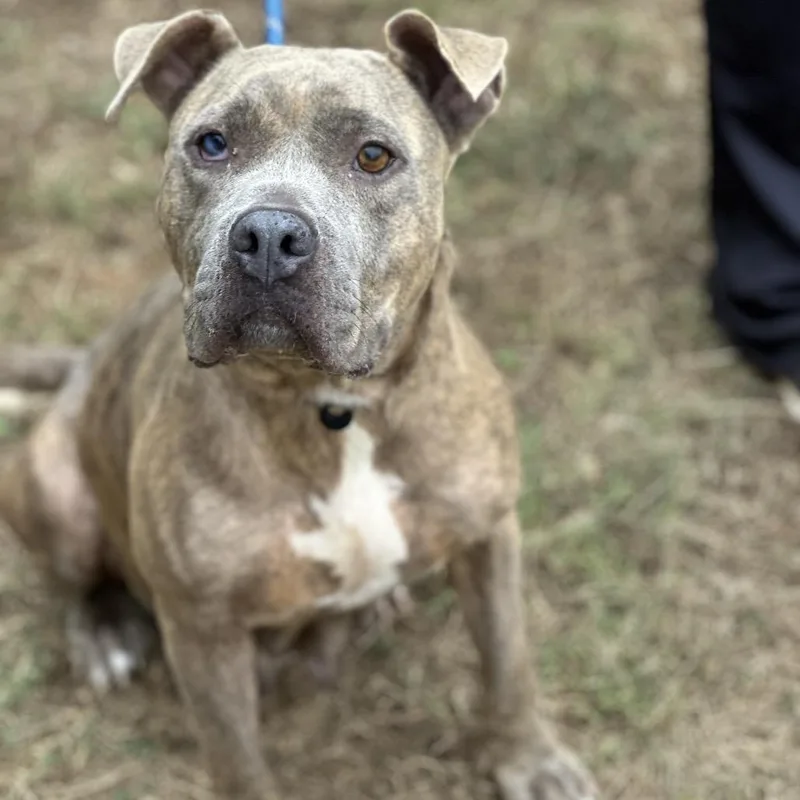 Spaghetti thumbnail 2