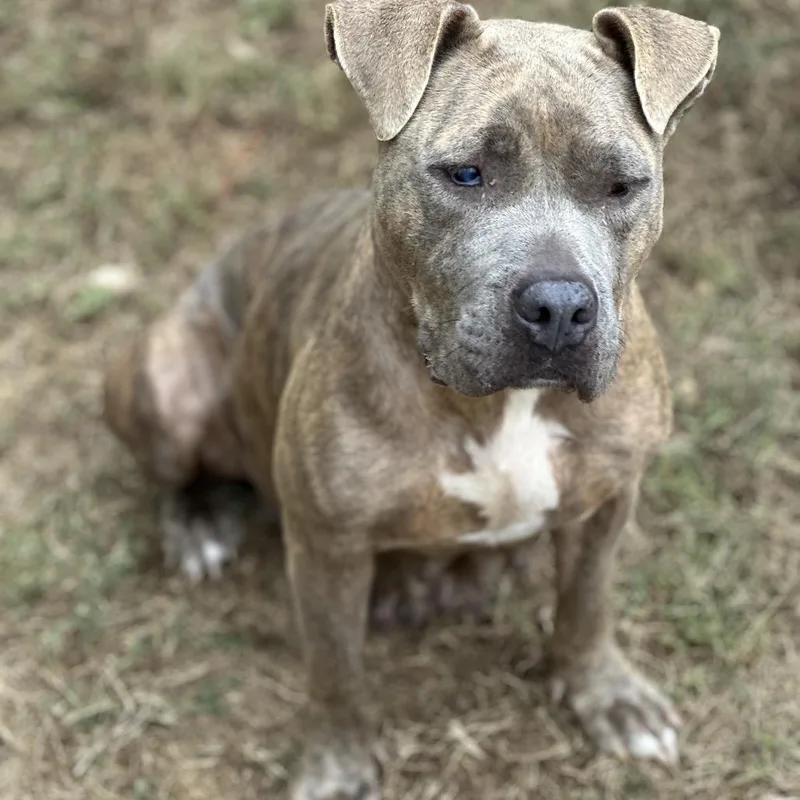 Spaghetti thumbnail 3