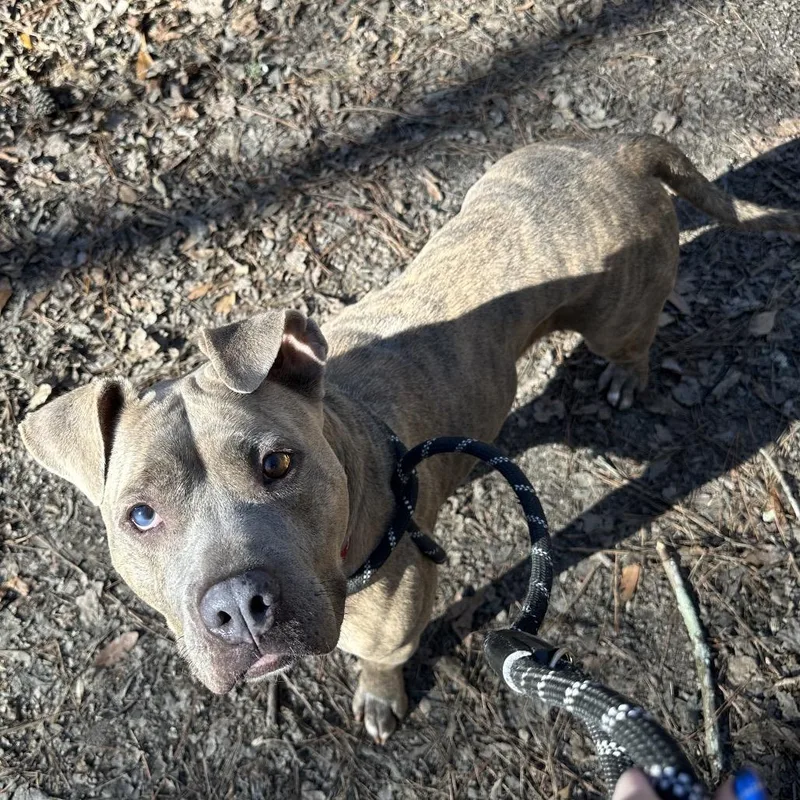 Spaghetti thumbnail 5