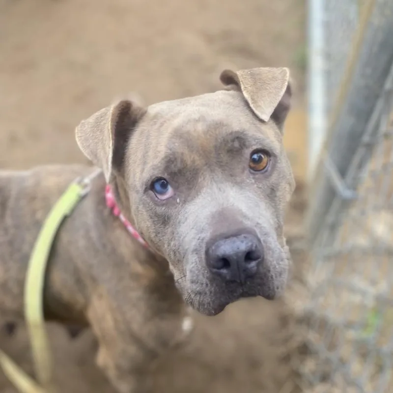 Spaghetti thumbnail 6