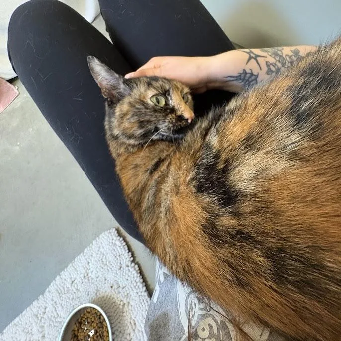 Luna