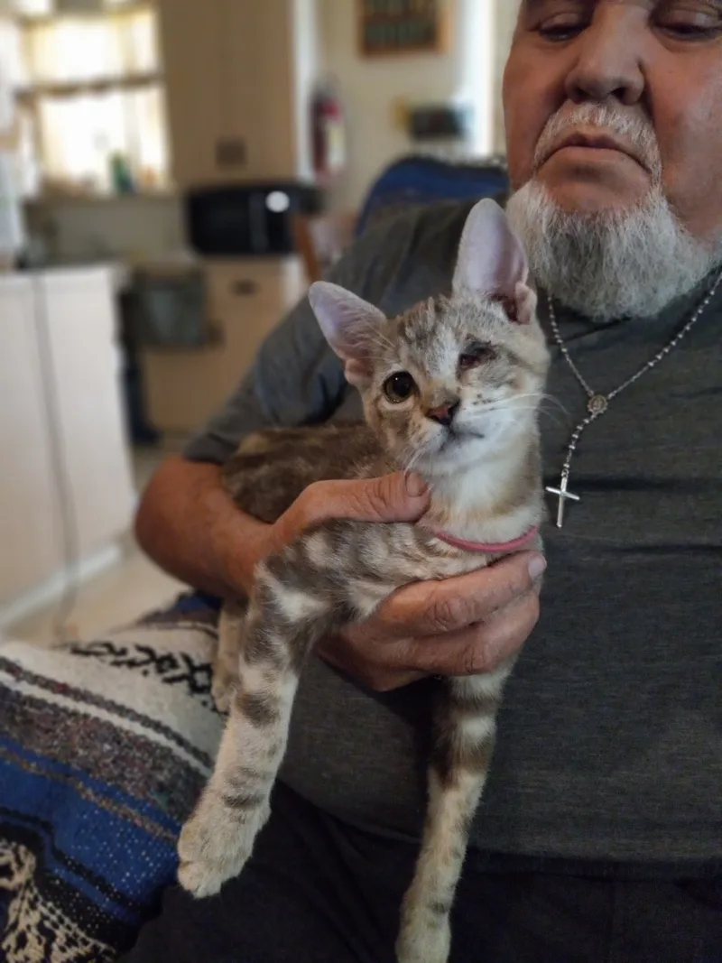 Kiba And Juni  thumbnail 2