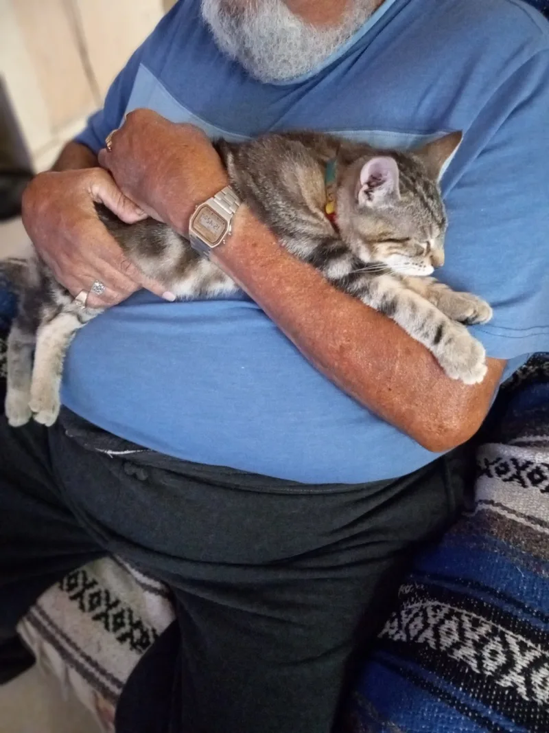 Kiba And Juni  thumbnail 4