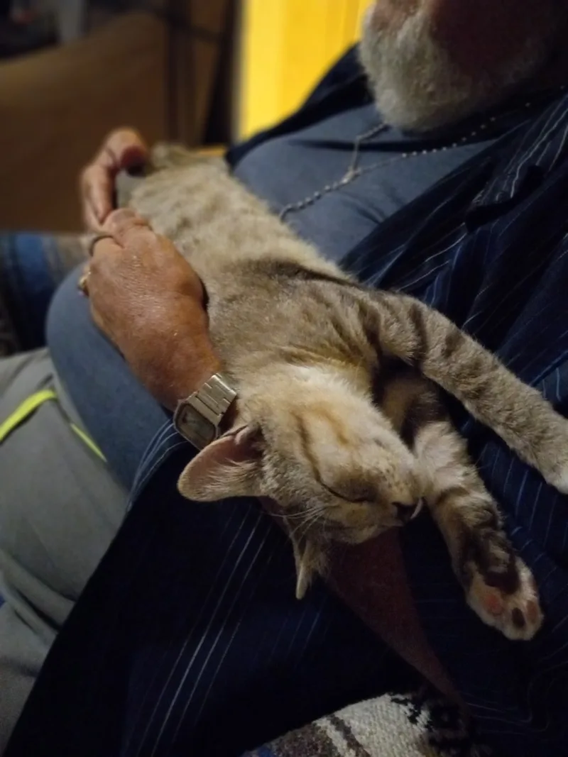 Kiba And Juni  thumbnail 5