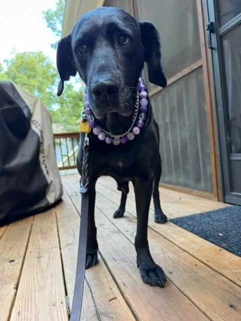 Gracelynn