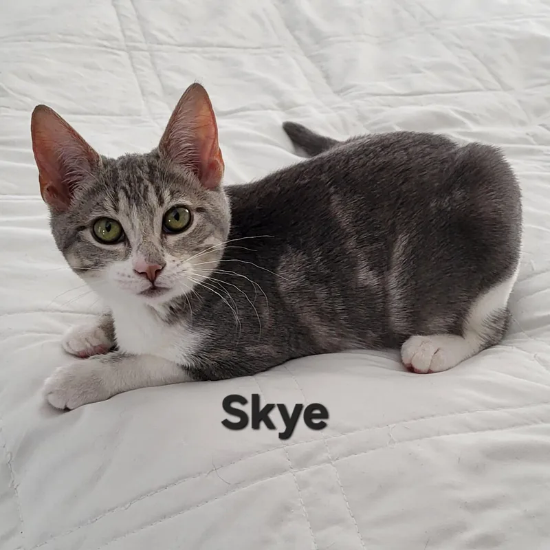 Skye