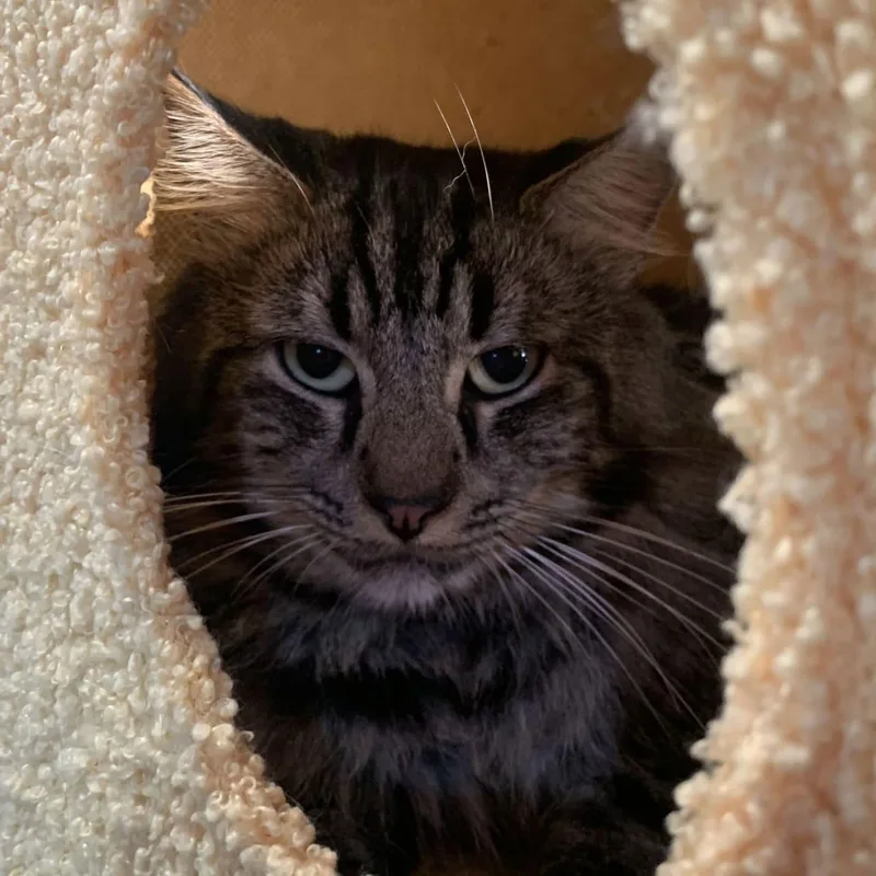 Sebastian thumbnail 2