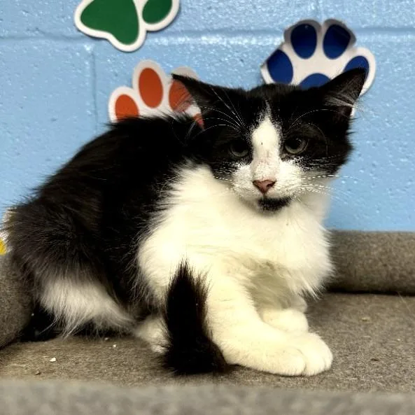 Minnie