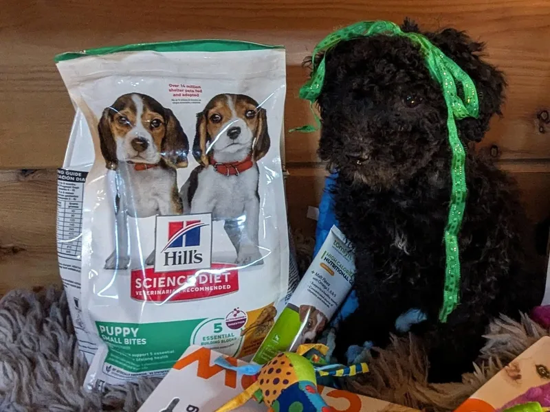 Sinclaire thumbnail 4