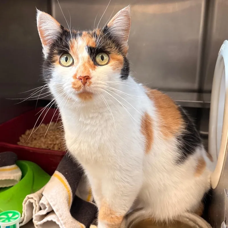 Two Hearted thumbnail 5