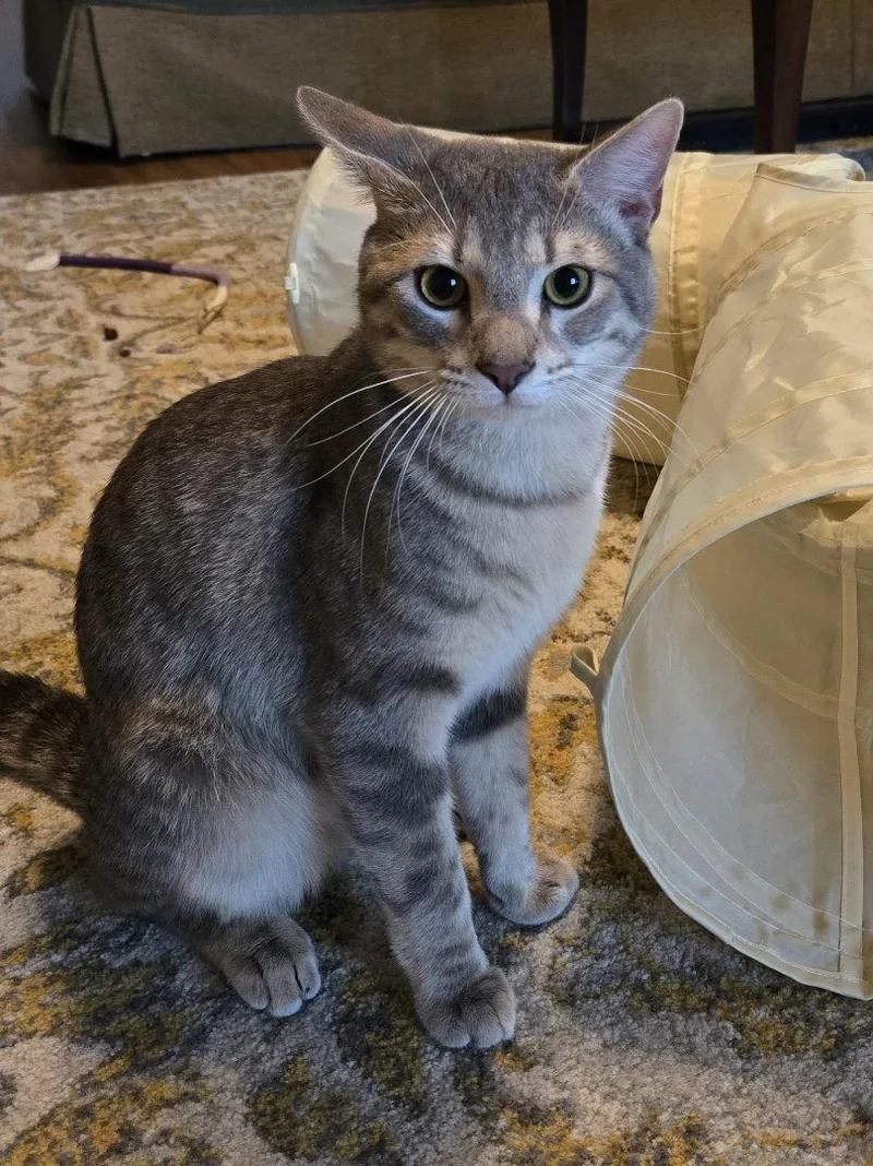 Bruno Mars thumbnail 3