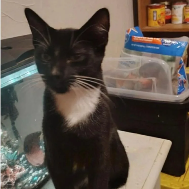 Tuff Tuff thumbnail 3