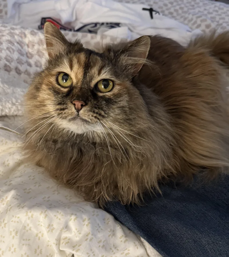 Luna
