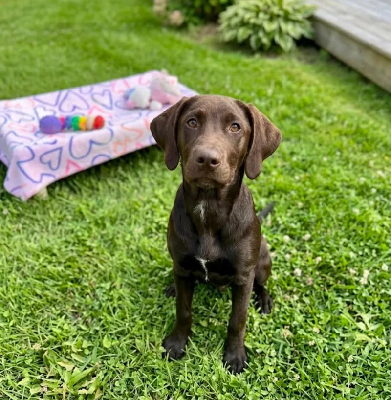 Copper