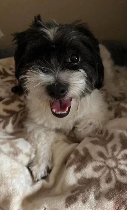Max in RI thumbnail 2