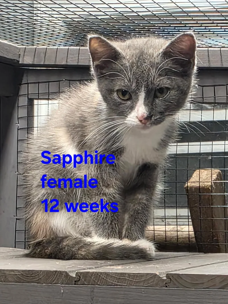Sapphire