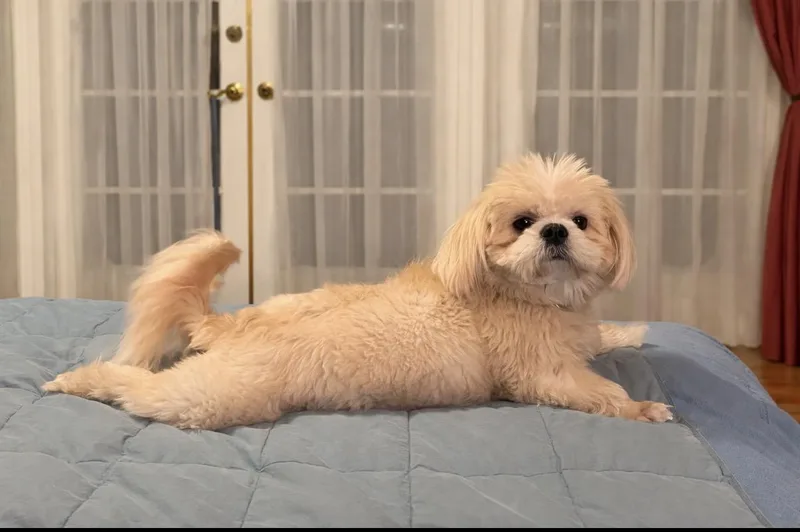 Luna Gdp thumbnail 2