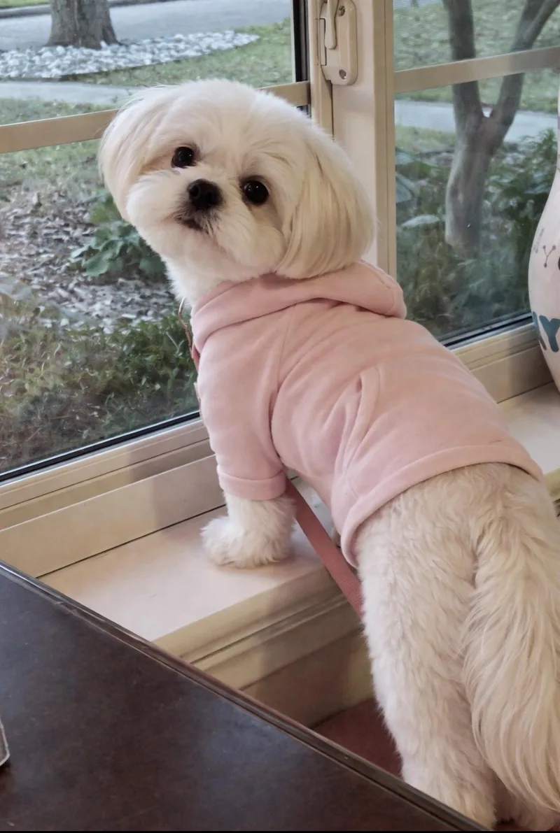 Luna Gdp thumbnail 3