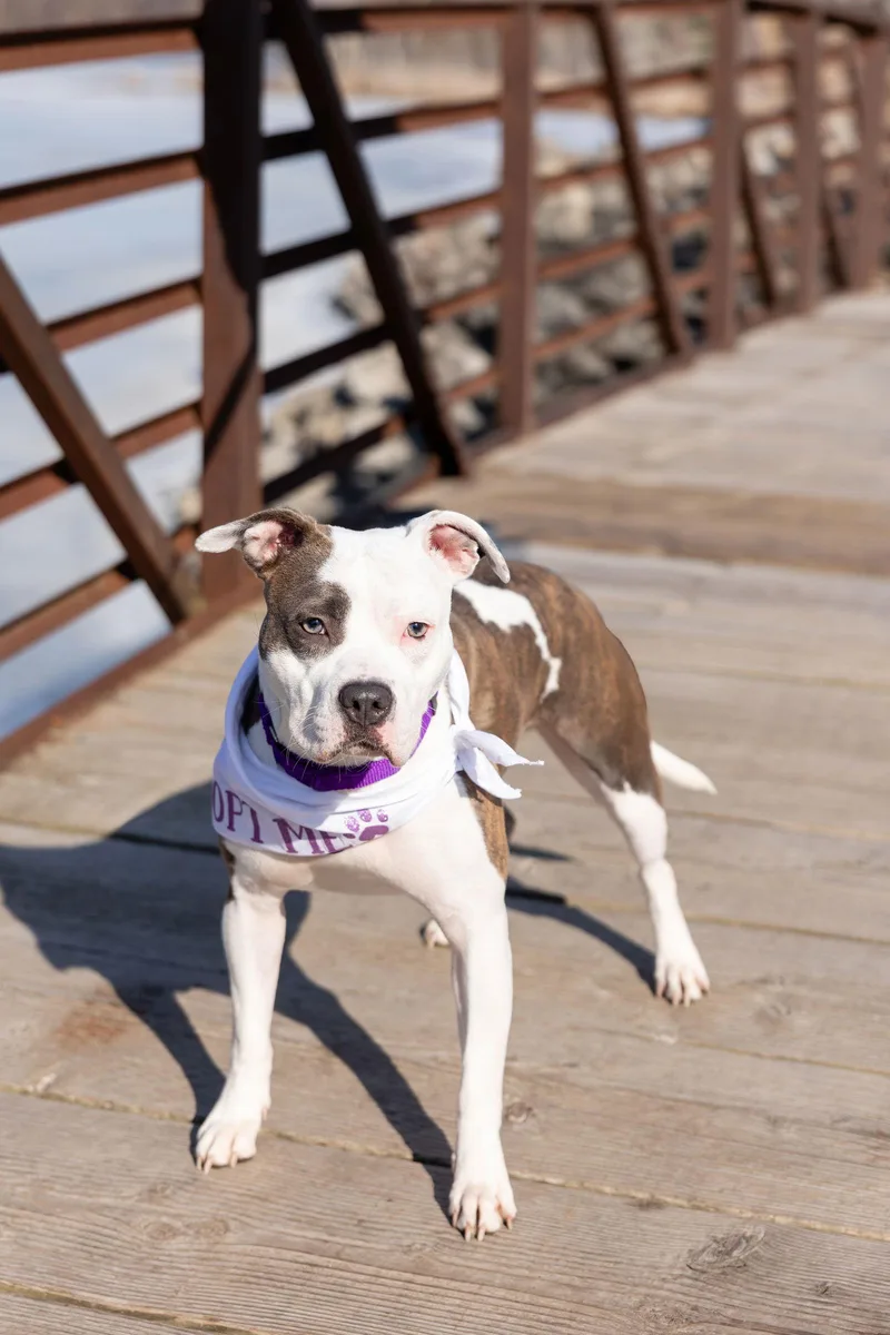 Hawaiian Tropic thumbnail 2