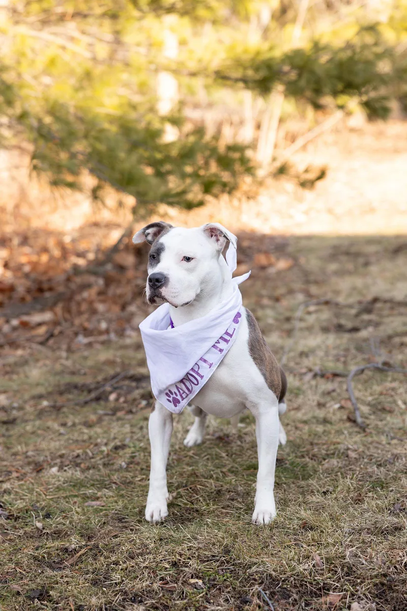 Hawaiian Tropic thumbnail 3