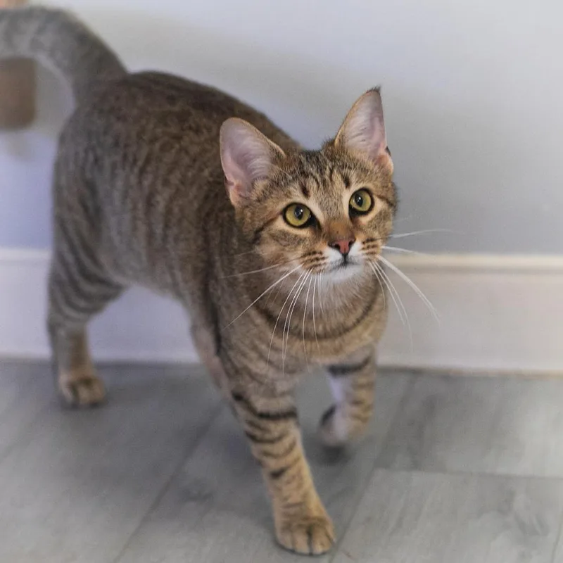 Milo