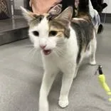 Zanziabr thumbnail 2