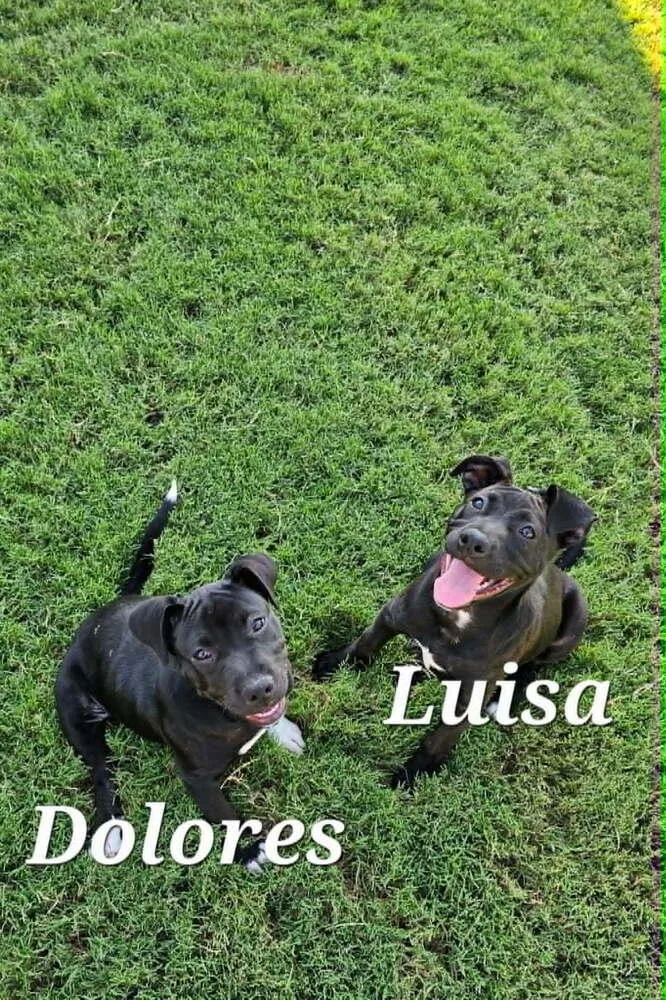 Luisa thumbnail 2