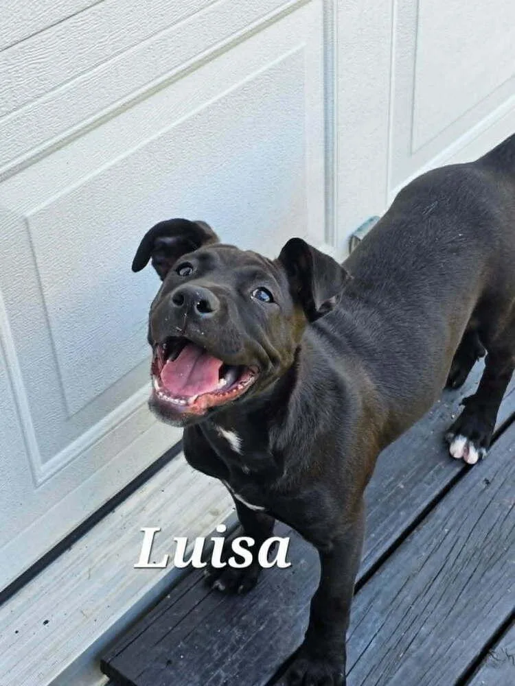 Luisa thumbnail 3