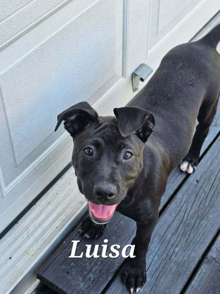 Luisa thumbnail 4
