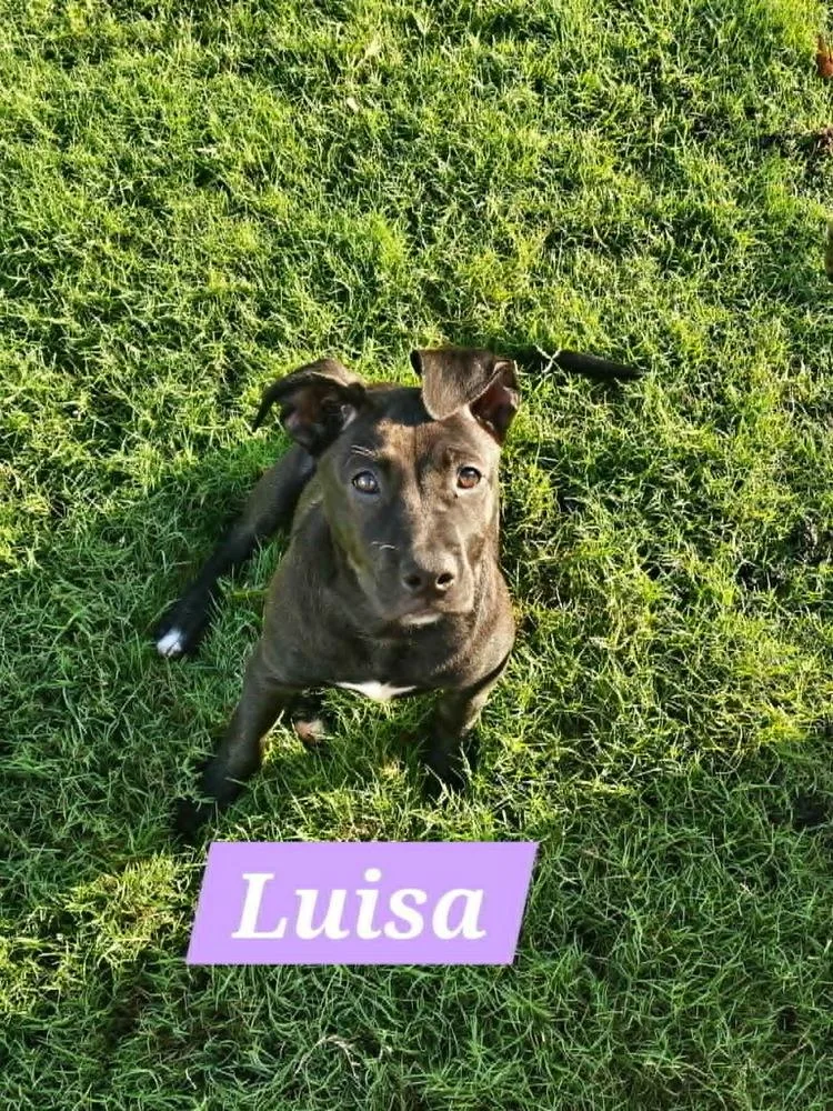 Luisa thumbnail 5