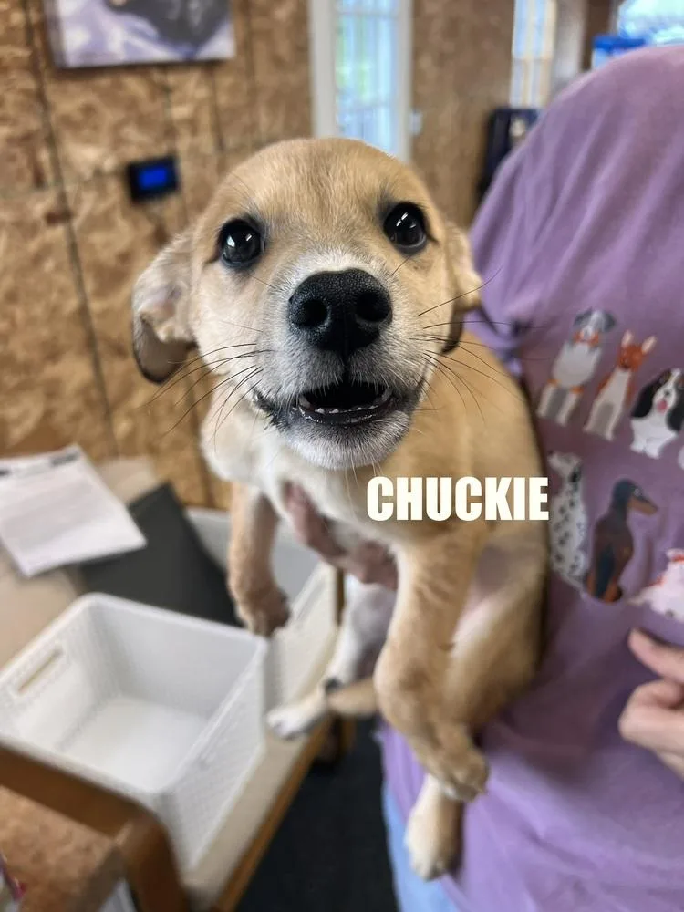 Chuckie