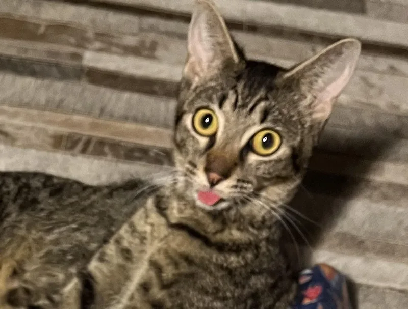 Andy thumbnail 3