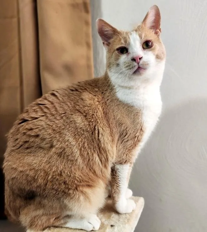 Danny & Ham thumbnail 5